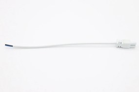 MCP - Lamp