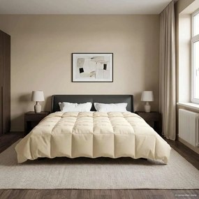 vidaXL Κουβέρτα ολόκληρου του χρόνου 260 x 240 cm