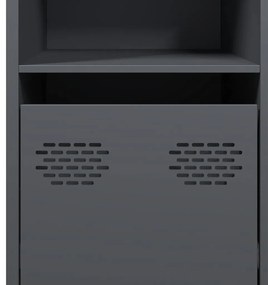 Ντουλάπι Ανθρακί 135x39x73,5 εκ. από Χάλυβα Ψυχρής Έλασης - Ανθρακί