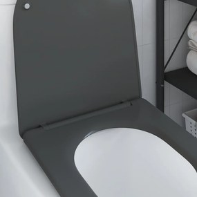 vidaXL Κάθισμα τουαλέτας γρήγορης απελευθέρωσης Ανθρακί