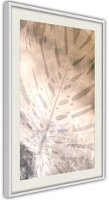 Αφίσα - Monstera of Dreams - 40x60 - Μαύρο - Με πασπαρτού