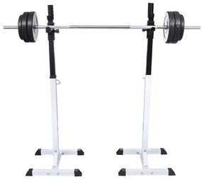 vidaXL Ορθοστάτης Μπάρας/Squat Rack με Σετ Μπάρα και Αλτήρες 30,5 κ.