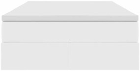 vidaXL Κρεβάτι με αποθηκευτικό χώρο και στρώμα Λευκό 120 x 200 cm