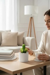 Stewehome Τεχνητός κάκτος σουκλέντης σε λευκή γλάστρα