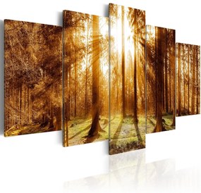 Πίνακας - Forest Illumination 100x50