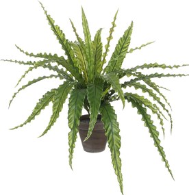 Τεχνητό Φυτό Σε Γλάστρα 50εκ. Edelman Asplenium 1044536