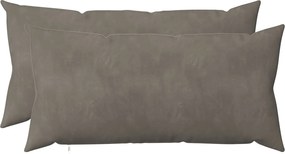 vidaXL Μαξιλάρι 2 τμχ. HEERLEN Ανοιχτό γκρι 40 x 80 cm Βελούδο