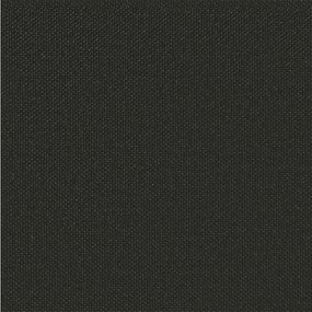 vidaXL Μαξιλάρι πλάτης SOEST 100% Πολυεστέρας Μαύρο 120 x 20 x 40 cm