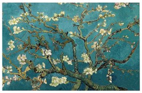 ΠΙΝΑΚΑΣ ΤΥΠΟΥ ALMOND TREE HM7193.03 70X45X3 εκ. (1 Τεμμάχια)