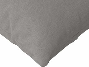 vidaXL Μαξιλάρι Καναπέ 2 pcs Taupe 120 x 40 cm ύφασμα