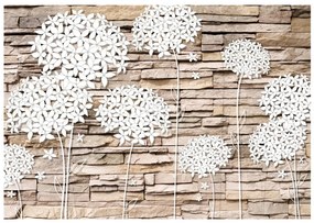 Φωτοταπετσαρία - Flowers on the Stone 250x175
