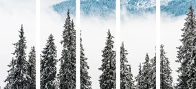 5 μερών εικόνα χιονισμένα πεύκα