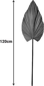 Διακοσμητικό φύλλο Leafen I Inart φυσικό palm leaf 121εκ