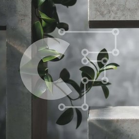 Intra Συλλεκτικό Ξύλινο Παζλ Plywood  4mm - Πράσινο φυτό που αναπτύσσεται από τσιμεντένιο τοίχο Σε Ξύλινο Κουτί - Διαστάσεις: 10x10 cm – 25 κομμάτια