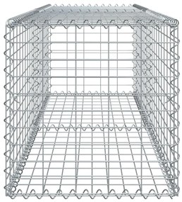 vidaXL Συρματοκιβώτιο με Κάλυμμα 200x50x50 εκ. από Γαλβανισμένο Χάλυβα