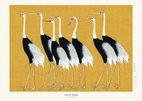 Αναπαραγωγή Japanese Red Crown Crane, Studio Collection