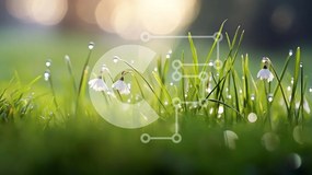 Intra Συλλεκτικό Ξύλινο Παζλ Plywood  4mm - Green Field with Snowdrops: A Sign of Spring Σε Ξύλινο Κουτί - Διαστάσεις: 10x10 cm – 25 κομμάτια