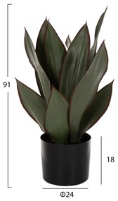 ΔΙΑΚΟΣΜΗΤΙΚΟ ΣΥΝΘΕΤΙΚΟ ΦΥΤΟ HM7996 ΠΛΑΤΥΦΥΛΛΗ ΣΑΝΣΕΒΙΕΡΙΑ ΣΕ ΓΛΑΣΤΡΑ Φ14x12-51Υεκ.