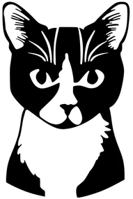 Διακοσμητικό Τοίχου Cat 891TNL1897 39x60cm Black Wallity Μέταλλο