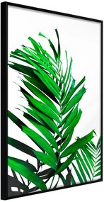 Αφίσα - Emerald Palm - 30x45 - Μαύρο - Χωρίς πασπαρτού