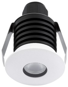 BI 1109