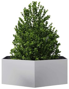 vidaXL Ζαρντινιέρα Κήπου Εξάγωνη 138x120x45 εκ. Γαλβανισμένο Χάλυβα