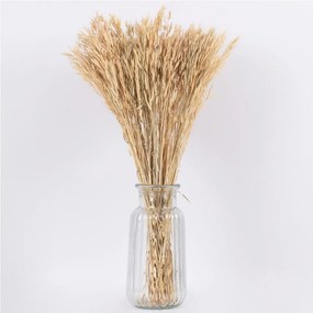 Μπουκέτο Αποξηραμένο Wheat 36550 60cm (Ακαθόριστος Αριθμός Τμχ) Beige Globostar