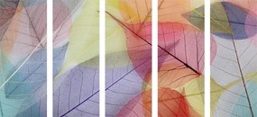 Εικόνα 5 μερών γυναίκα σε χρωματιστά φύλλα - 100x50
