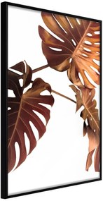 Αφίσα - Copper Monstera - 20x30 - Μαύρο - Χωρίς πασπαρτού