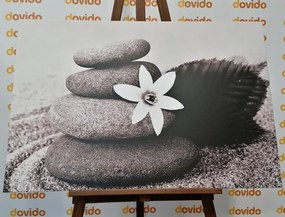 Εικόνα λουλουδιού και πέτρες στην άμμο σε μαύρο & άσπρο - 90x60