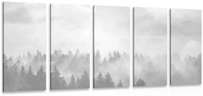 Εικόνα 5 μερών ομίχλη πάνω από το δάσος σε ασπρόμαυρο - 200x100