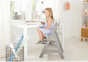 Καρεκλακι φαγητου μωρου Hauck Γκρι