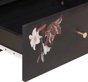 vidaXL Ντουλάπες Αποθήκευσης Πολύχρωμο 80 x 33,5 x 46 εκ.