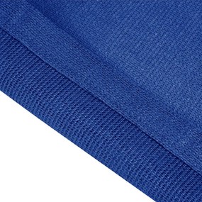 vidaXL Χαλί Σκηνής Μπλε 300 x 600 εκ. από HDPE