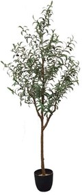 Τεχνητό Δέντρο Ελιά 8660-6 72x72x180cm Green Supergreens Polyethylene