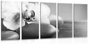 Εικόνα 5 τμημάτων ορχιδέας και πέτρες σε ασπρόμαυρο