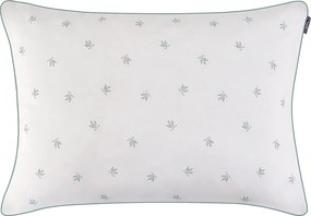 Stewehome Μαξιλάρι από αλόη βέρα Λευκό 50x70 cm