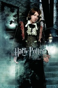 Εικονογράφηση Harry Potter and the Goblet of Fire - Ron