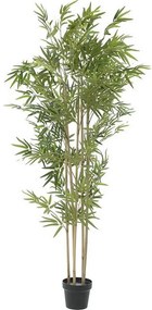 Διακοσμητικό Φυτό Σε Γλάστρα 3-85-783-0036 Green Υ160 Inart Πλαστικό