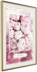 Αφίσα - Scent of Peonies - 20x30 - Χρυσό - Με πασπαρτού