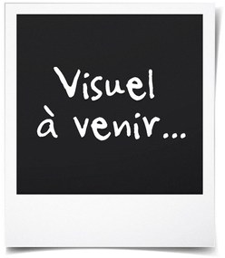 Ηλιακή λάμπα Galix H79 Ασημί