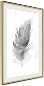 Αφίσα - Lost Feather (Grey) - 20x30 - Χρυσό - Με πασπαρτού