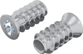 vidaXL Βίδα 2 pcs Ασημί M6 x 12 mm Σίδερο