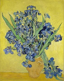 Vincent van Gogh - Εκτύπωση έργου τέχνης Irises, 1890, (30 x 40 cm)