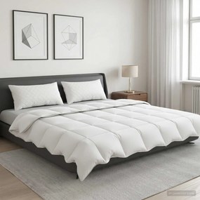 vidaXL Σετ πάπλωμα 90% χήνας FULDA 3 τμχ. 200 x 200 cm Καλοκαίρι Λευκό