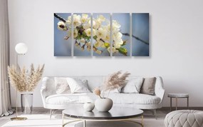 Εικόνα 5 μερών ενός κλαδιού από άνθη κερασιάς - 100x50