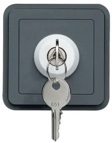 Διακόπτης 3 Θέσεων με Κλειδί Γκρι ΙΡ55 Cubyko WNA036 Hager-WNA036-Ανθρακί WNA036