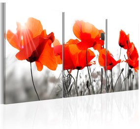 Πίνακας - Charming Poppies 120x60