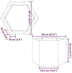 ΖΑΡΝΤΙΝΙΕΡΑ ΚΗΠΟΥ ΕΞΑΓΩΝΗ 69X60X45 ΕΚ. ΑΝΟΞΕΙΔΩΤΟ ΑΤΣΑΛΙ 851126