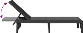 vidaXL Ξαπλώστρα Ανθρακί 186 x 60 x 29 από Πολυπροπυλένιο